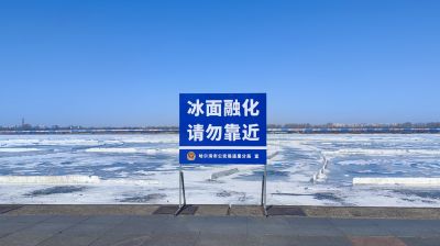 城市