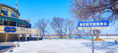 城市