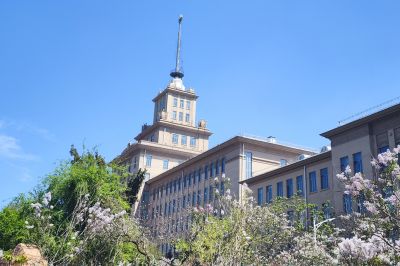城市