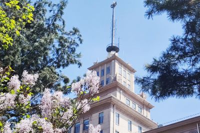 城市