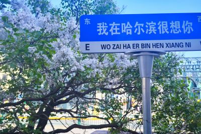 城市