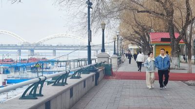 城市