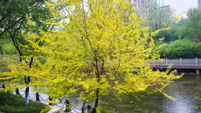 城市