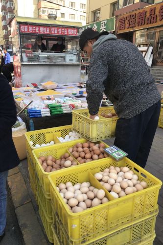 春季