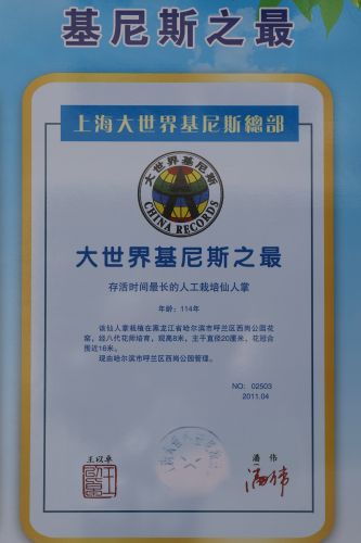 春季