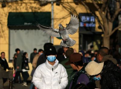 城市