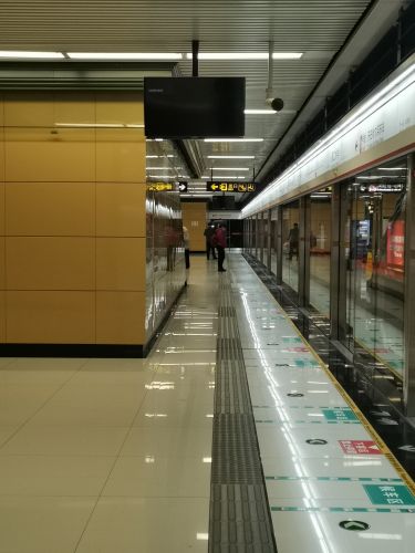 春季城市