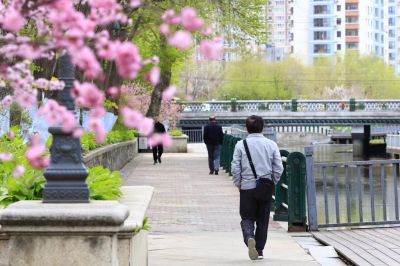 城市