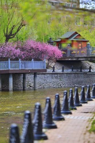 城市