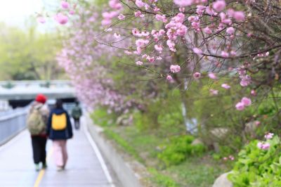 城市