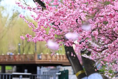 城市