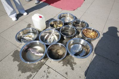 春季