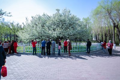 春季