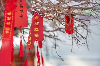 城市