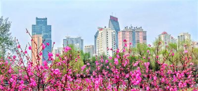 春季城市