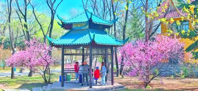 春季城市