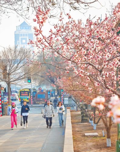 春季城市