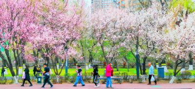 春季城市