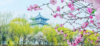 春季城市