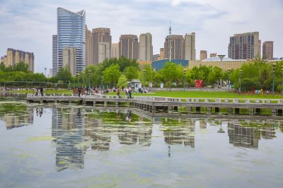 城市