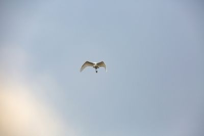 春季哈尔滨