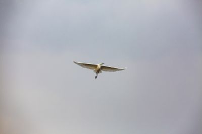 春季哈尔滨