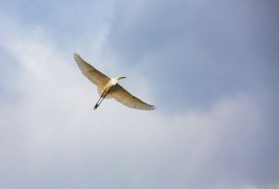 春季哈尔滨