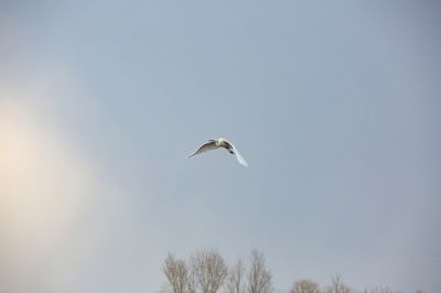春季哈尔滨