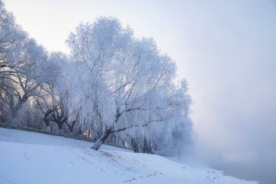 风景