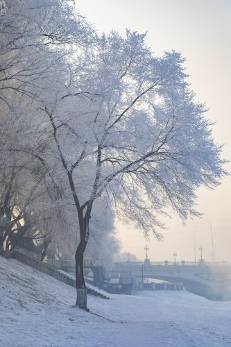 风景