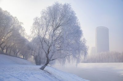 风景