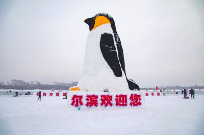 风景