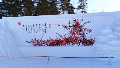 城市