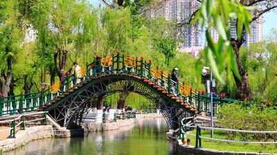 春季城市