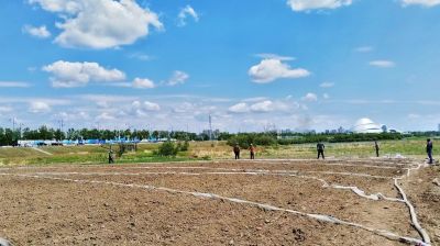 春季城市