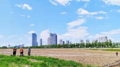 春季城市