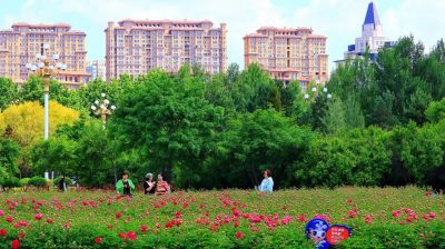 春季城市