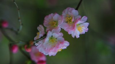 城市