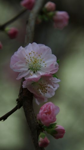 城市