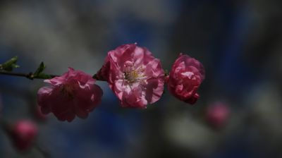 城市