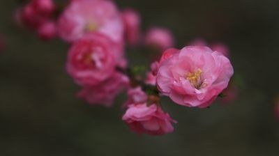 城市