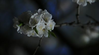 城市