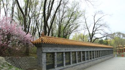 城市