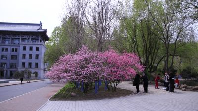 城市