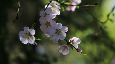 城市