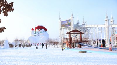 城市