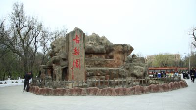 城市