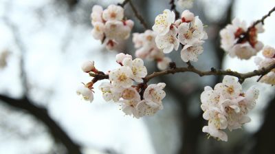 城市