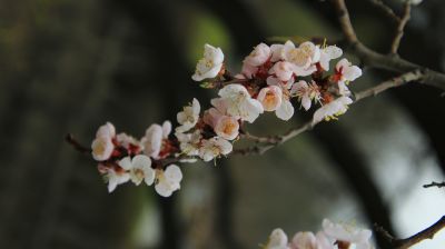 城市