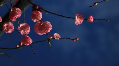 城市